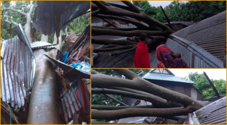 ঘূর্ণিঝড় সিত্রাং শরীয়তপুরে গাছ উপড়ে প্রাণ গেলো বৃদ্ধার