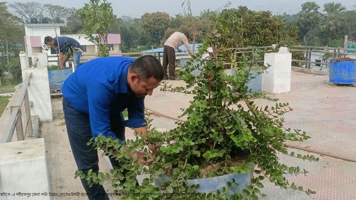 শরীয়তপুর পানি উন্নয়ন বোর্ডের নির্বাহী প্রকৌশলী আহসান হাবীব প্রধানমন্ত্রীর আহবানে সাড়া দিয়ে ছাদবাগান করে উদাহরণ সৃষ্টি করেছেন