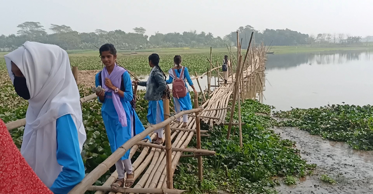 জাজিরার ফেদুল্লা কান্দি সেতুর অভাব,  ঝুঁকি নিয়ে ৩০০ মিটার সাঁকো পারাপার
