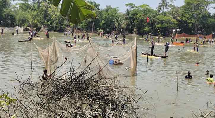 ডামুড্যায়  ঐতিহ্যবাহী মাছ ধরা উৎসব