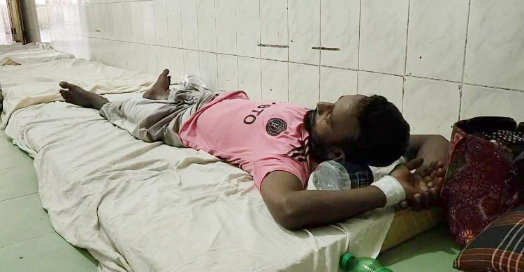 নড়িয়ায় রাসেলস ভাইপারকে লাথি,  ছোবল খেয়ে হাসপাতালে যুবক