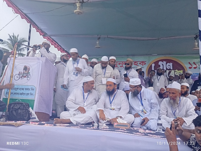 শেখ হাসিনা কখনো বাংলাদেশের মানুষের জন্য রাজনীতি করেনি, সে তার পিতার হত্যার প্রতিশোধ নেয়ার জন্য রাজনীতি করেছেন -মামুনুল হক